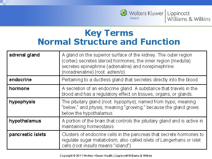 Key Terms Normal Structure and Function adrenal gland A gland on the superior surface Key Terms Normal Structure and Function adrenal gland A gland on the superior surface