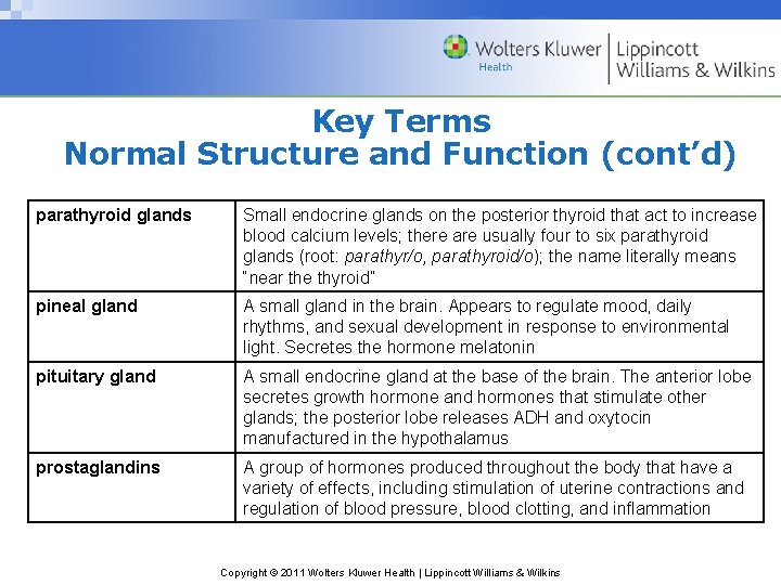Key Terms Normal Structure and Function (cont’d) parathyroid glands Small endocrine glands on the Key Terms Normal Structure and Function (cont’d) parathyroid glands Small endocrine glands on the