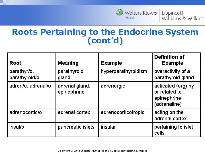 Roots Pertaining to the Endocrine System (cont’d) Definition of Example Root Meaning Example parathyr/o, Roots Pertaining to the Endocrine System (cont’d) Definition of Example Root Meaning Example parathyr/o,