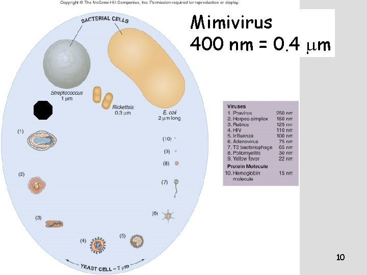 Mimivirus 400 nm = 0. 4 mm 10 Mimivirus 400 nm = 0. 4 mm 10