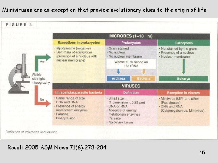 Mimiviruses are an exception that provide evolutionary clues to the origin of life Raoult Mimiviruses are an exception that provide evolutionary clues to the origin of life Raoult