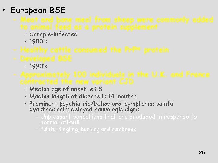 • European BSE – Meat and bone meal from sheep were commonly added • European BSE – Meat and bone meal from sheep were commonly added