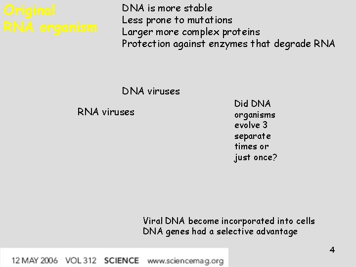 Original RNA organism DNA is more stable Less prone to mutations Larger more complex Original RNA organism DNA is more stable Less prone to mutations Larger more complex
