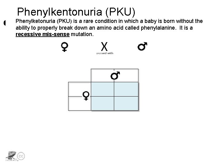 Phenylkentonuria (PKU) Phenylketonuria (PKU) is a rare condition in which a baby is born