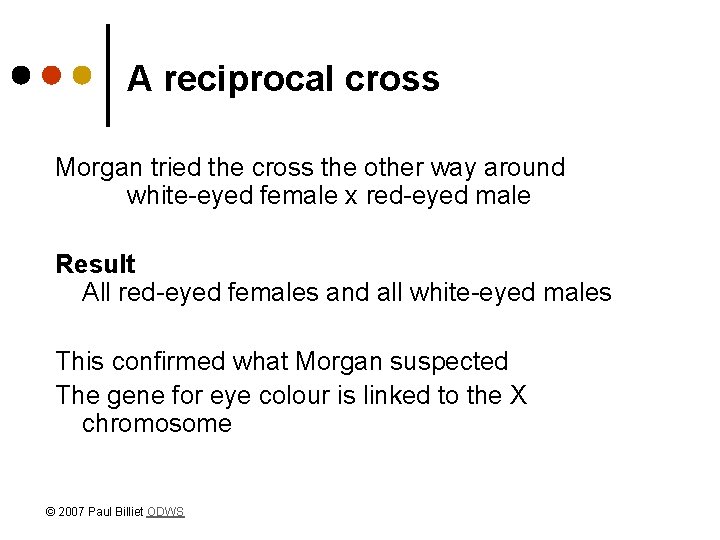 A reciprocal cross Morgan tried the cross the other way around white-eyed female x