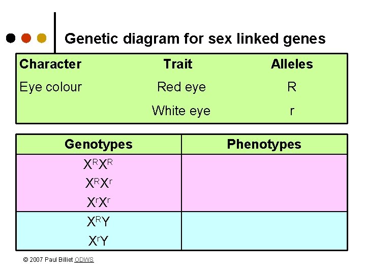 Genetic diagram for sex linked genes Character Trait Eye colour Genotypes X RX R