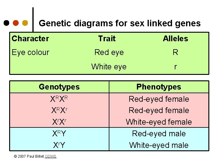 Genetic diagrams for sex linked genes Character Trait Eye colour Alleles Red eye R