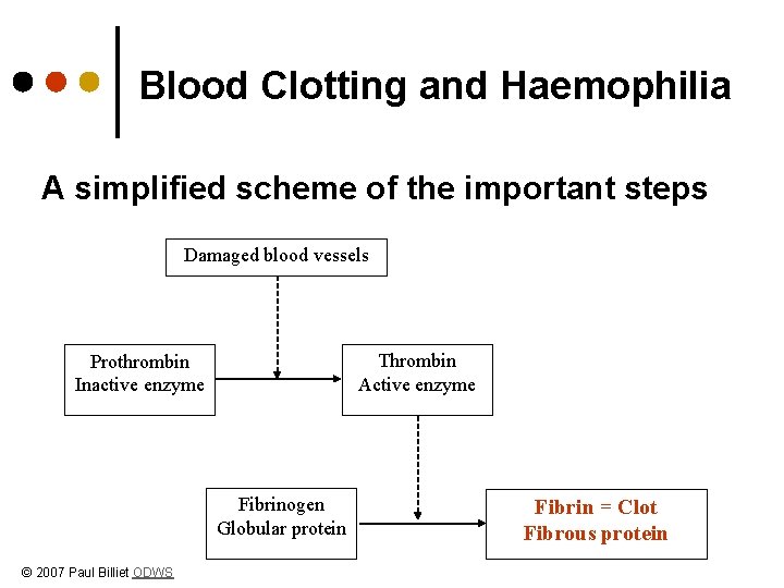 Blood Clotting and Haemophilia A simplified scheme of the important steps Damaged blood vessels