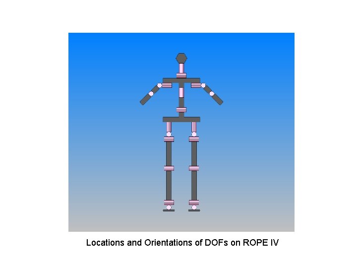 Locations and Orientations of DOFs on ROPE IV 