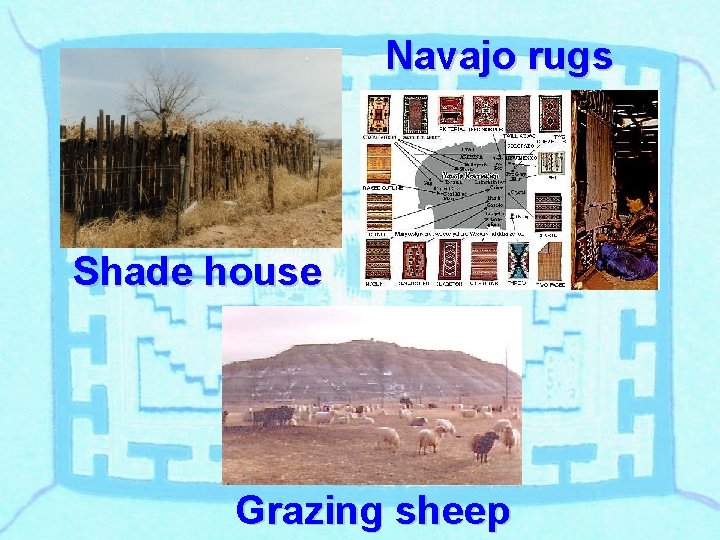 Navajo rugs Shade house Grazing sheep 