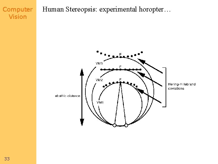 Computer Vision 33 Human Stereopsis: experimental horopter… 