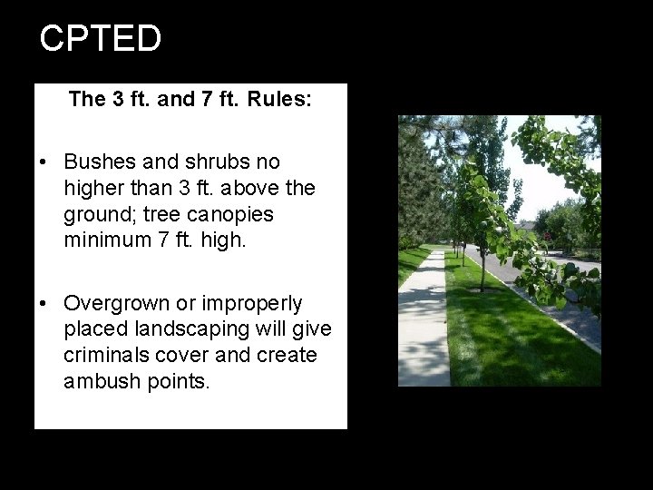 CPTED The 3 ft. and 7 ft. Rules: • Bushes and shrubs no higher CPTED The 3 ft. and 7 ft. Rules: • Bushes and shrubs no higher