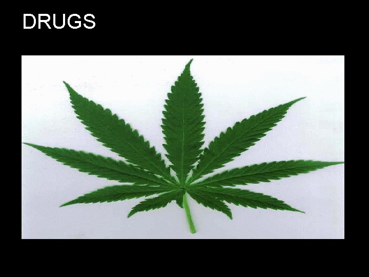 DRUGS DRUGS