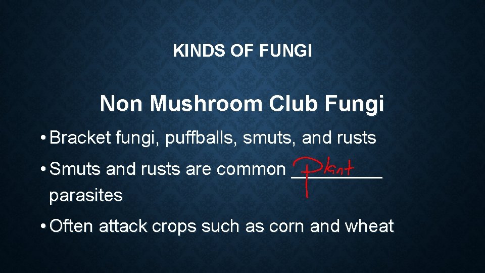 KINDS OF FUNGI Non Mushroom Club Fungi • Bracket fungi, puffballs, smuts, and rusts KINDS OF FUNGI Non Mushroom Club Fungi • Bracket fungi, puffballs, smuts, and rusts