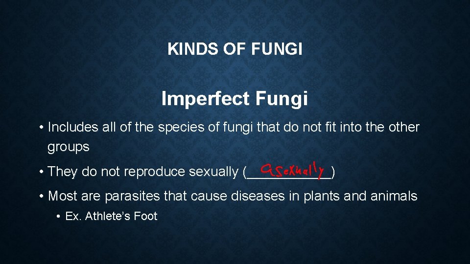 KINDS OF FUNGI Imperfect Fungi • Includes all of the species of fungi that KINDS OF FUNGI Imperfect Fungi • Includes all of the species of fungi that