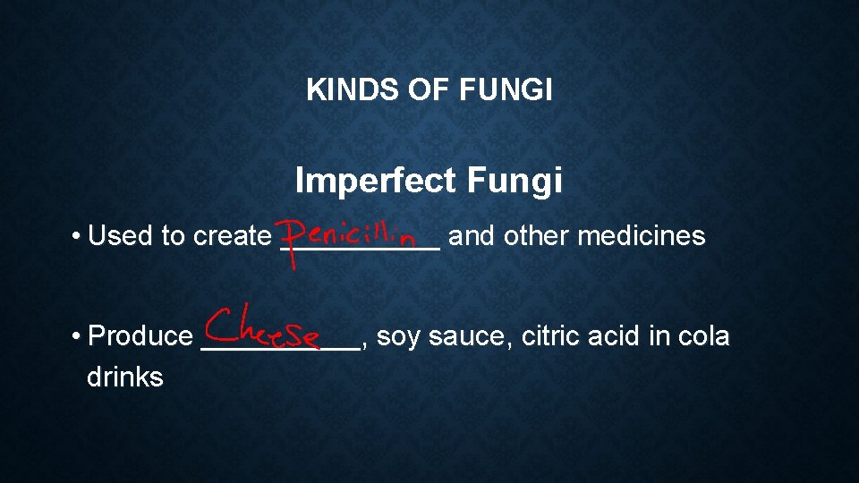 KINDS OF FUNGI Imperfect Fungi • Used to create _____ and other medicines • KINDS OF FUNGI Imperfect Fungi • Used to create _____ and other medicines •