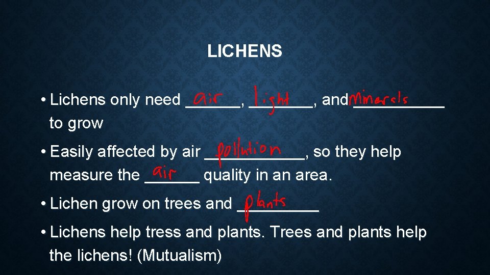LICHENS • Lichens only need ______, _______, and _____ to grow • Easily affected LICHENS • Lichens only need ______, _______, and _____ to grow • Easily affected