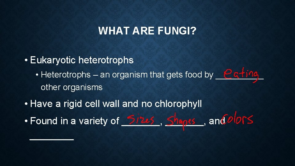 WHAT ARE FUNGI? • Eukaryotic heterotrophs • Heterotrophs – an organism that gets food WHAT ARE FUNGI? • Eukaryotic heterotrophs • Heterotrophs – an organism that gets food