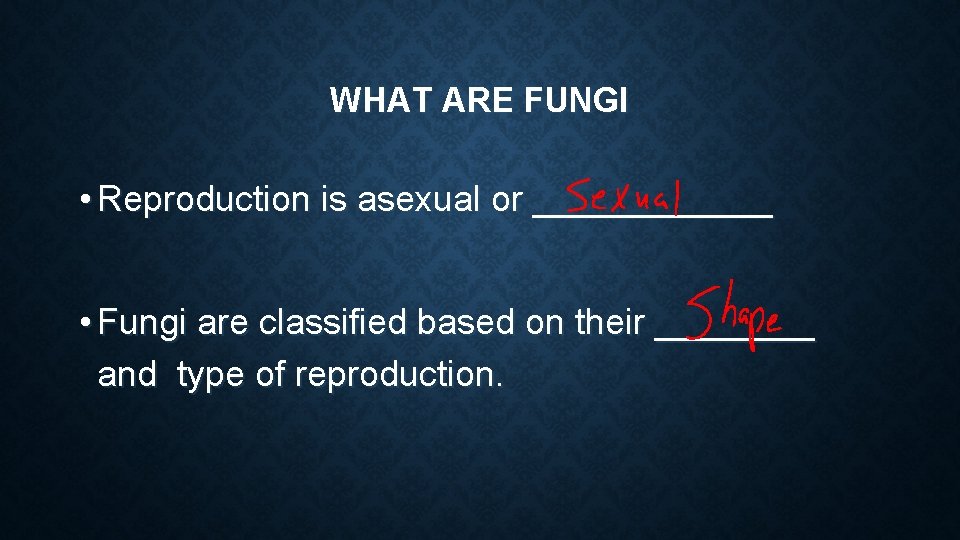 WHAT ARE FUNGI • Reproduction is asexual or ______ • Fungi are classified based WHAT ARE FUNGI • Reproduction is asexual or ______ • Fungi are classified based