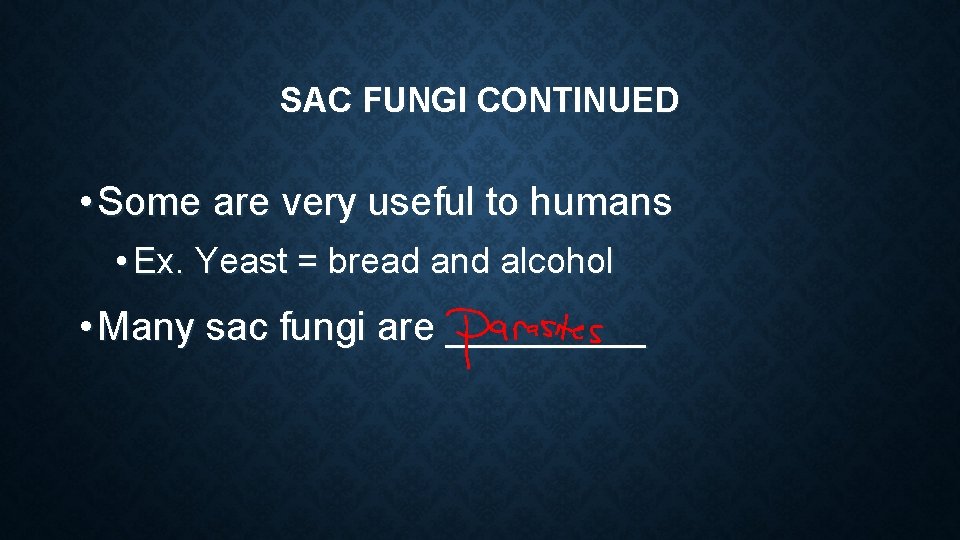 SAC FUNGI CONTINUED • Some are very useful to humans • Ex. Yeast = SAC FUNGI CONTINUED • Some are very useful to humans • Ex. Yeast =