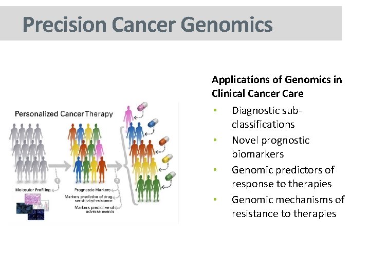 Precision Cancer Genomics Applications of Genomics in Clinical Cancer Care • • Diagnostic subclassifications