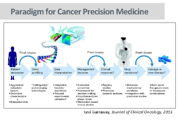 Paradigm for Cancer Precision Medicine Levi Garraway, Journal of Clinical Oncology, 2013 