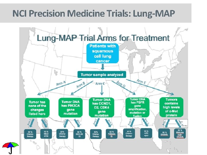 NCI Precision Medicine Trials: Lung-MAP 