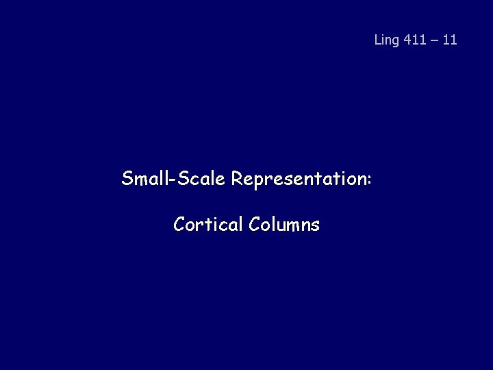 Ling 411 – 11 Small-Scale Representation: Cortical Columns 