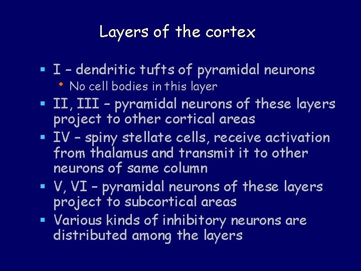 Layers of the cortex § I – dendritic tufts of pyramidal neurons • No