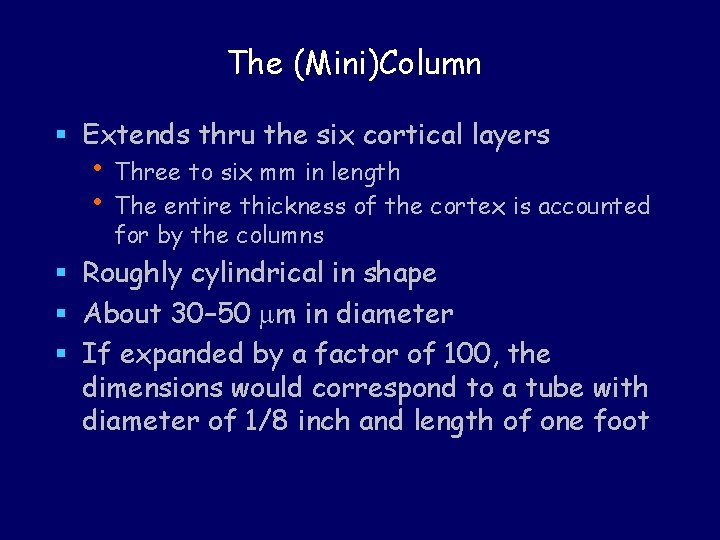 The (Mini)Column § Extends thru the six cortical layers • Three to six mm