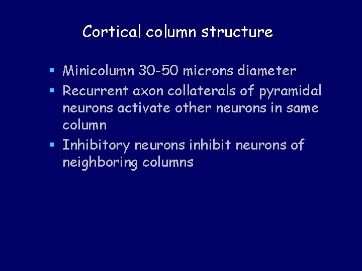 Cortical column structure § Minicolumn 30 -50 microns diameter § Recurrent axon collaterals of
