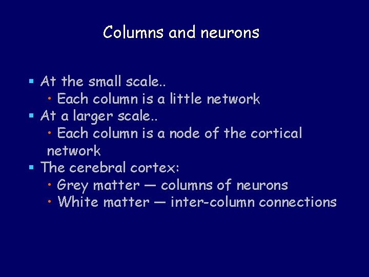 Columns and neurons § At the small scale. . • Each column is a