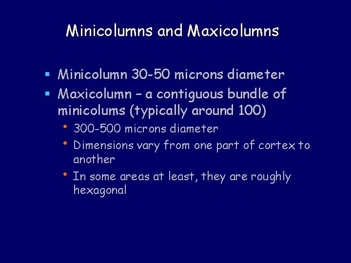 Minicolumns and Maxicolumns § Minicolumn 30 -50 microns diameter § Maxicolumn – a contiguous