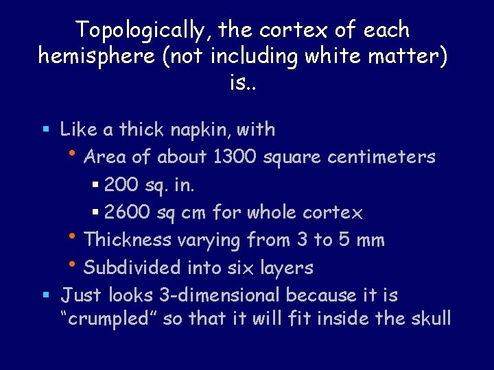 Topologically, the cortex of each hemisphere (not including white matter) is. . § Like