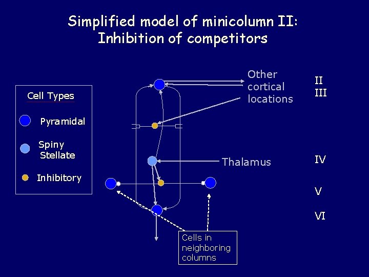 Simplified model of minicolumn II: Inhibition of competitors Other cortical locations Cell Types II