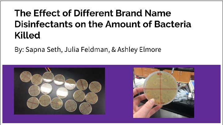The Effect of Different Brand Name Disinfectants on the Amount of Bacteria Killed By: