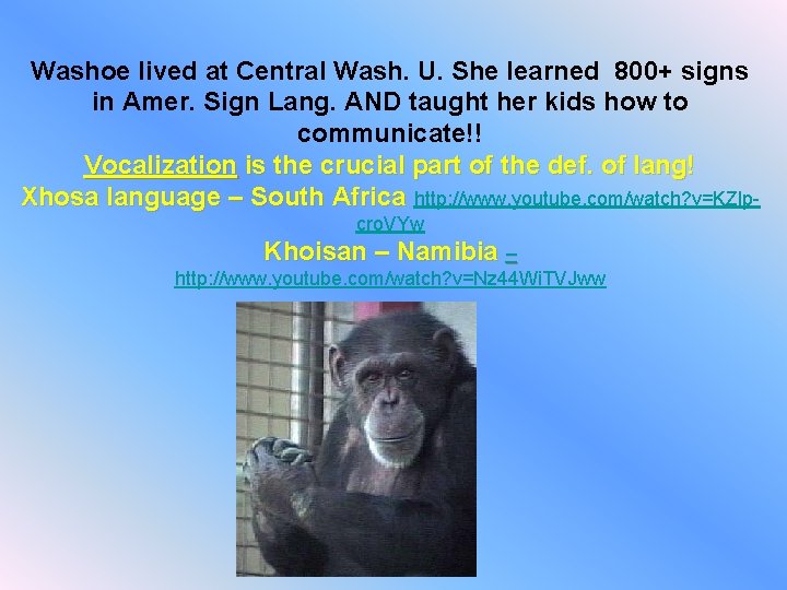 Washoe lived at Central Wash. U. She learned 800+ signs in Amer. Sign Lang.