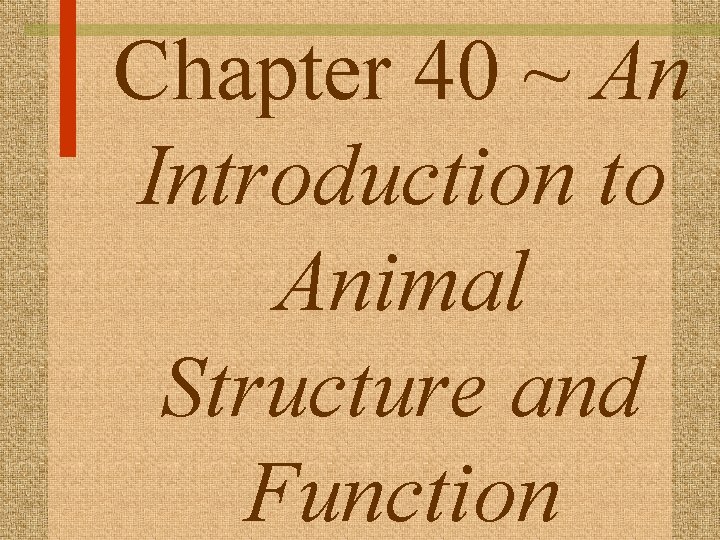 Chapter 40 ~ An Introduction to Animal Structure and Function 