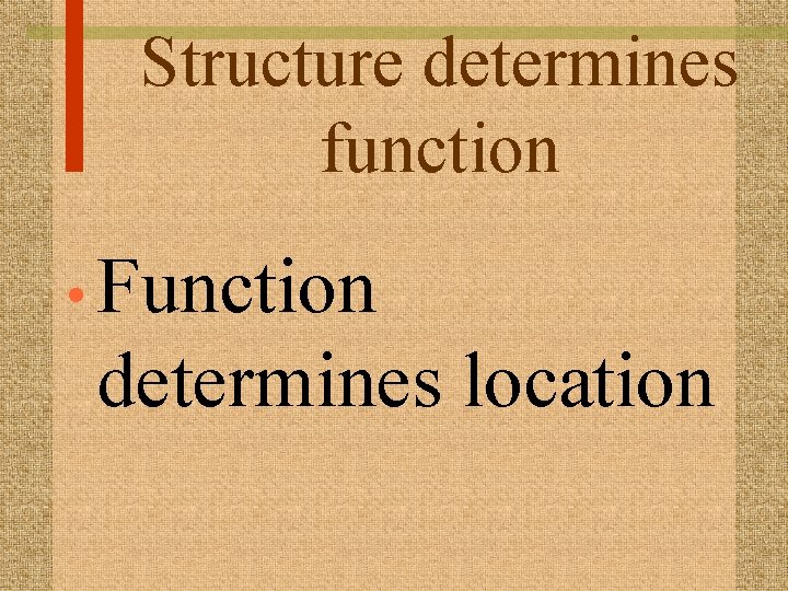 Structure determines function • Function determines location 