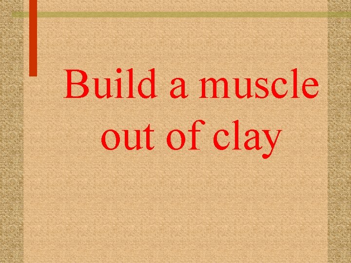 Build a muscle out of clay 