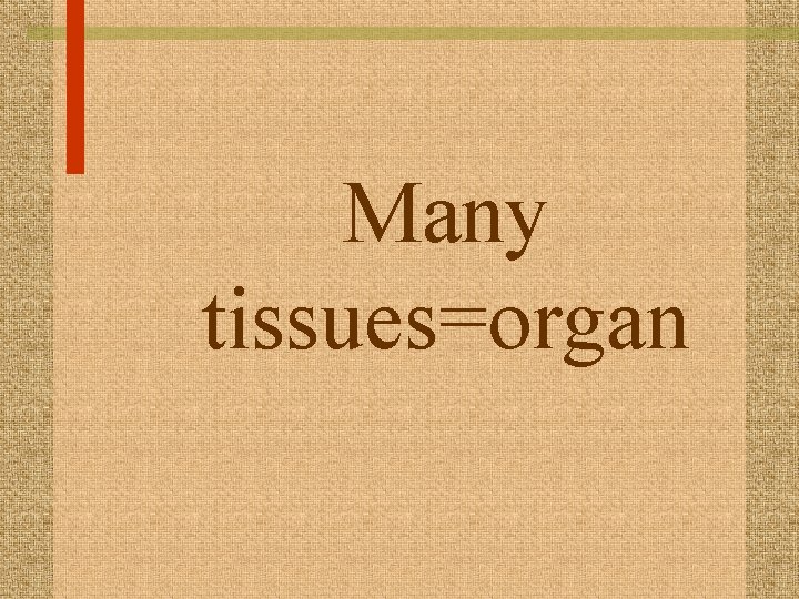 Many tissues=organ 