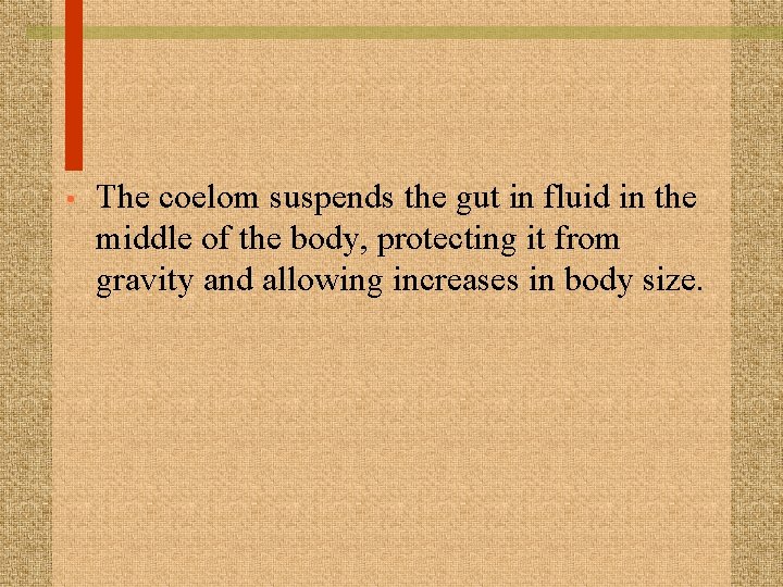  • The coelom suspends the gut in fluid in the middle of the