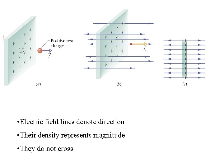  • Electric field lines denote direction • Their density represents magnitude • They