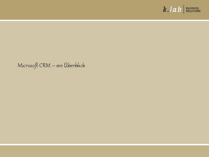 Microsoft CRM – ein Überblick 
