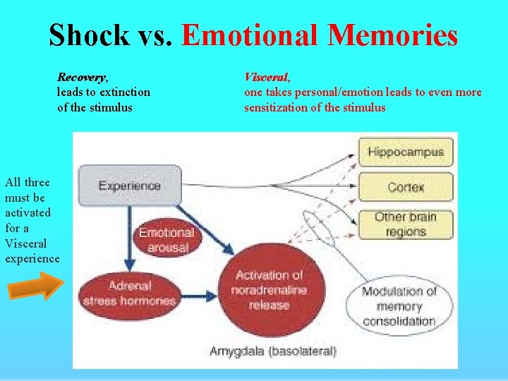 Shock vs. Emotional Memories Recovery, leads to extinction of the stimulus All three must