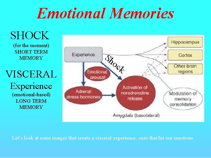 Emotional Memories SHOCK (for the moment) SHORT TERM MEMORY VISCERAL Sh oc k Experience