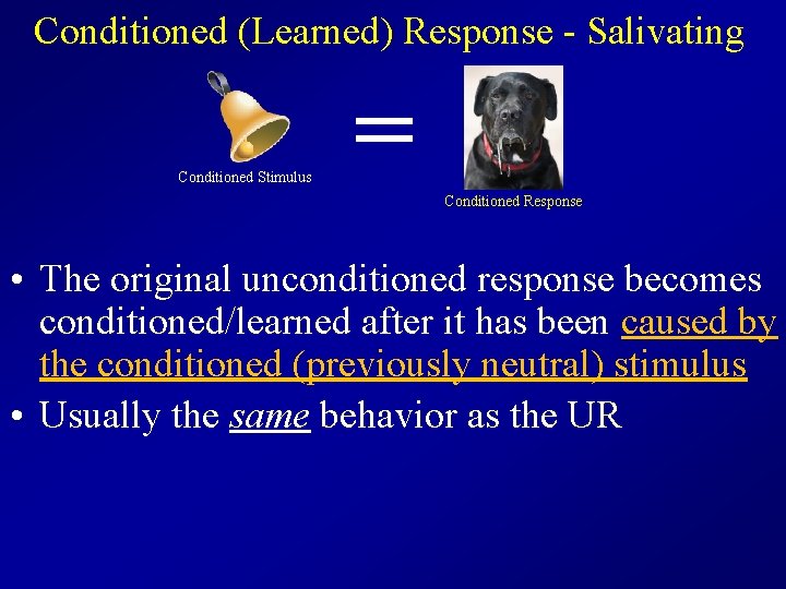 Conditioned (Learned) Response - Salivating Conditioned Stimulus = Conditioned Response • The original unconditioned