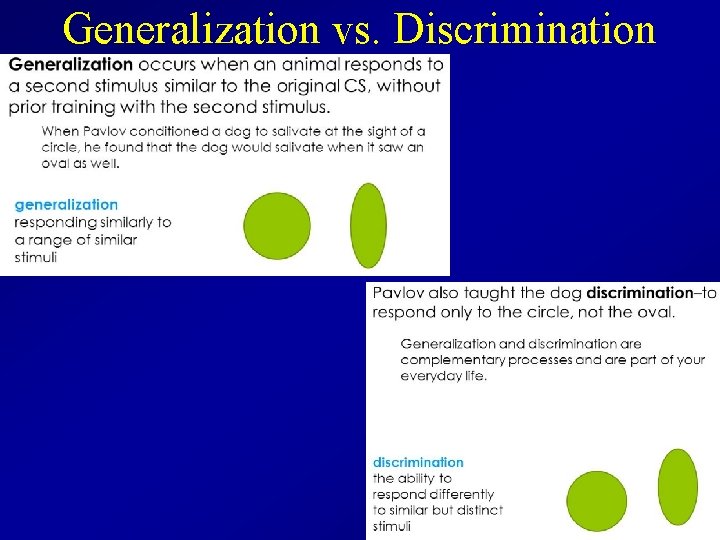 Generalization vs. Discrimination 