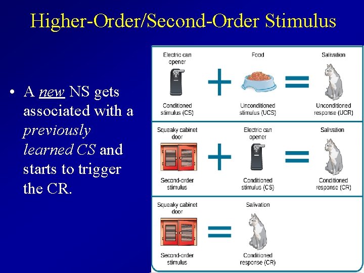 Higher-Order/Second-Order Stimulus • A new NS gets associated with a previously learned CS and