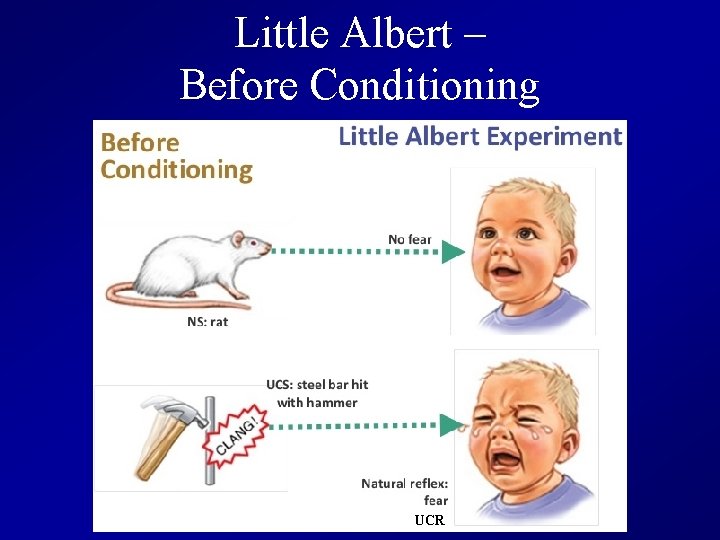 Little Albert – Before Conditioning UCR 